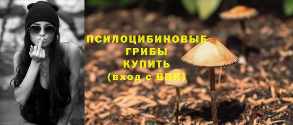 MESCALINE Снежногорск