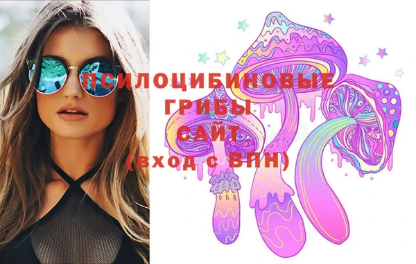 сатива Слюдянка