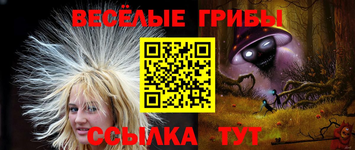 Махачкала  Галлюциногенные грибы Psilocybe  Галлюциногенные грибы MAGIC MUSHROOMS  магазин продажи наркотиков  Вход с VPN 