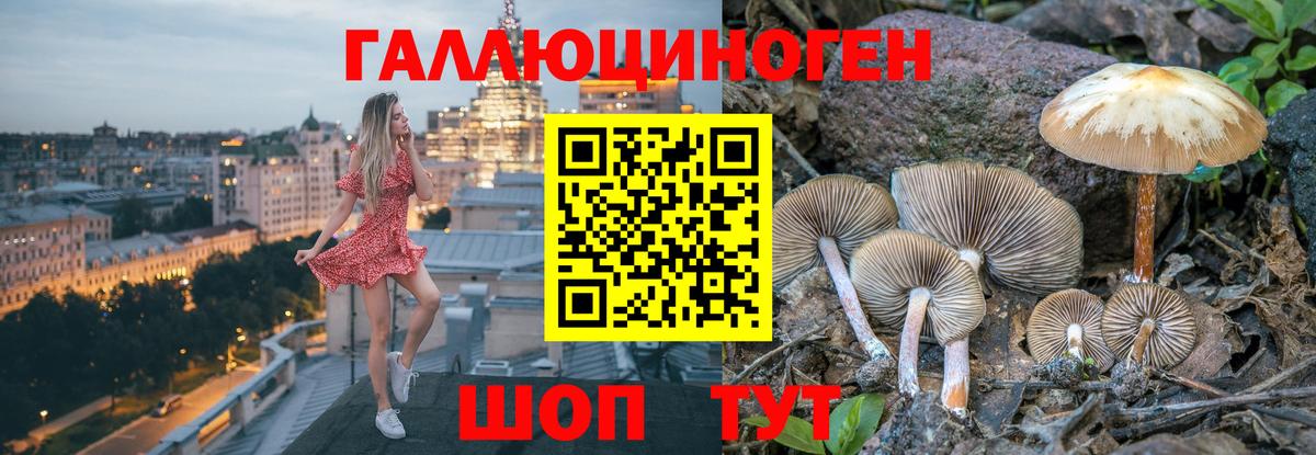 Галлюциногенные грибы Magic Shrooms Махачкала