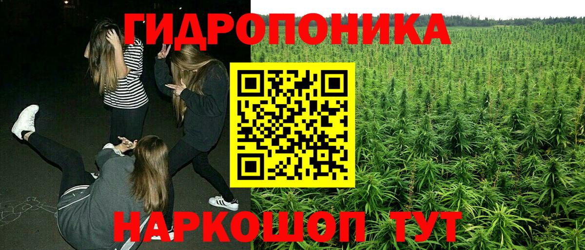 Конопля MAZAR Махачкала